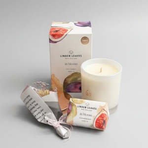 About You: Amber Fig Gift Pack - Linden Leaves