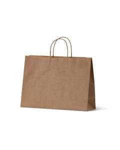 Bags Paper: Brown Paper Twist handle bag 250x350x110 50/bdl 250/ctn