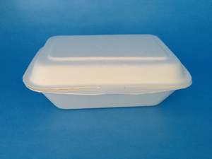 Biodegradable Compostable Containers: Small Sugar Cane Snack Box 183x135x64 50/slv 500/ctn
