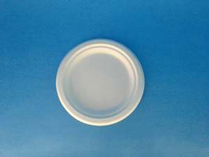 Plates Biodegradable Compostable: Bio Sugarcane Side Plate 17cm 50/slv 1000/ctn