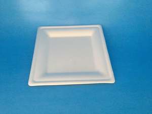 Plates Biodegradable Compostable: 8" Square Sugarcane plate 50/sleeve, 500/carton
