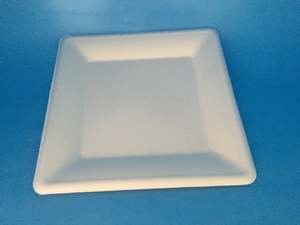 Plates Biodegradable Compostable: 10" Square Sugarcane plate 50/sleeve 500/ctn