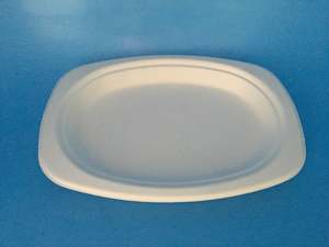 Sugarcane Oval Plate small 50/sleeve, 800/carton