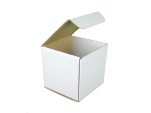 Die Cut Folded Box H/Lid 100x100x100