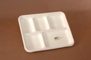 Bio 6 Compartment Tray 315x220x28 125/slv 250/ctn