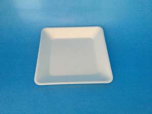 Bio Produce Tray 14x14x2cm 125/slv 1000/ctn