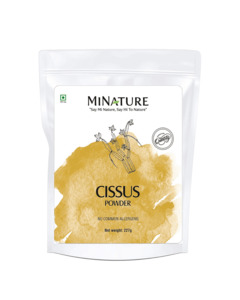 Organic Cissus Powder (Hadjod) 227g - USDA Certified