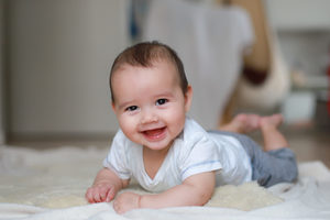 Products: 6-9 Month Booklet with Phone Consultation - Baby Bliss
