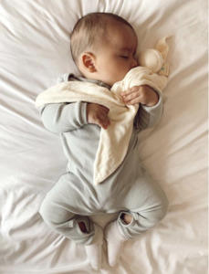 Organic Cuskiboo Comforters - Bamboo - Baby Bliss