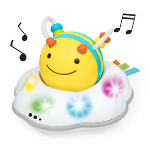 Skip Hop Explore & More Follow Me Crawl Toy