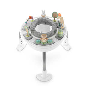 Ingenuity Spring & Sprout 2 in 1 Activity Jumper & Table