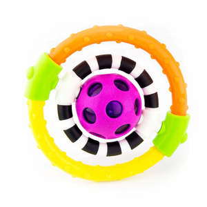 Rattles: Sassy Spin And Chew Flexible Ring Rattle