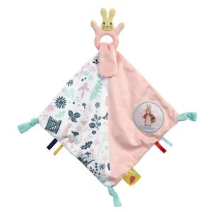 Peter Rabbit/Flopsy Development Comforter