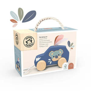 Learning Toys: Speedy Monkey Pull Along Car