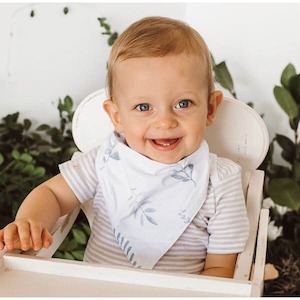 Bibs Teething: Dribble Bib - Wild Fern