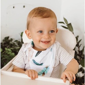 Bibs Teething: Dribble Bib - Dreamweaver