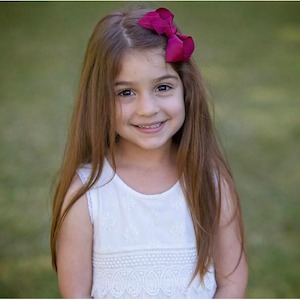 Burgundy Bow clip - Medium