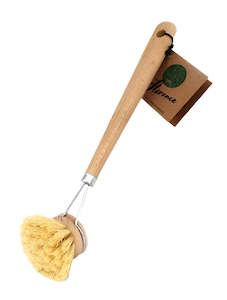 Dish Brush 50mm Tampico