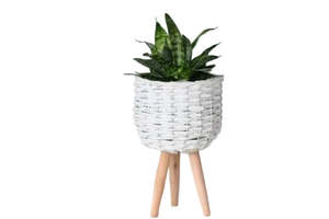 White Woven Cane Stand
