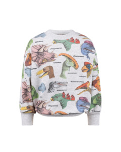 Boys Tops: Rock Your Baby Dino Bright Sweatshirt