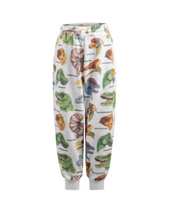 Boys Bottoms: Rock Your Baby Dino Bright Tract Pants