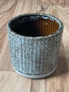 Newest Arrivals: Reptile Pot