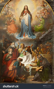 Church Backgrounds: Our Ladys Assumption Brussels Print Photography Backdrop