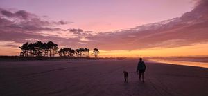 Groundbreaking Study Highlights Mental Health Benefits of Chiropractic Care