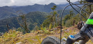 Products: Men's Active Wellbeing Sessions at The Adventure Park