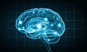 Spinal Health is Brain Health