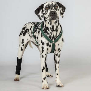 Canine: Max Dog Harness