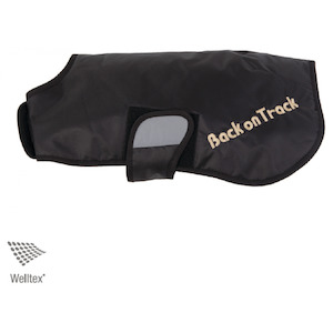 Canine: Hugo Standard Rug