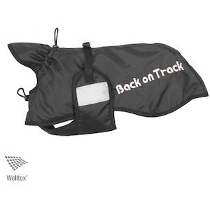 Canine: Standard Dog Rug