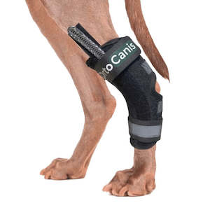 Ortocanis: Hock Splint Brace - by OrtoCanis