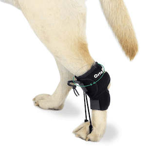 Dog No-Knuckling Sling / Propioceptive Corrector - by Ortocanis