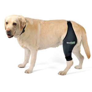 Ortocanis: Dog Cruciate Ligament / Knee brace - by OrtoCanis