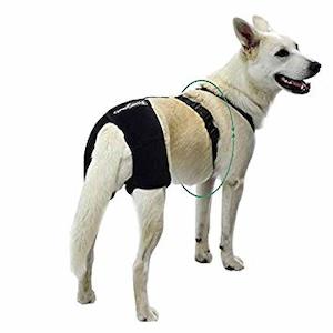 Ortocanis: Hip Dysplasia Brace - by OrtoCanis