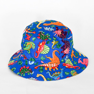 Products: Dinosaur Bucket Hat Back to basics