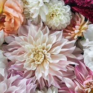 Light Dahlias