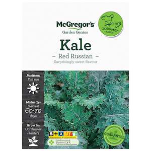 Seeds: McGregor's Kale Red Russian Specialty Seeds