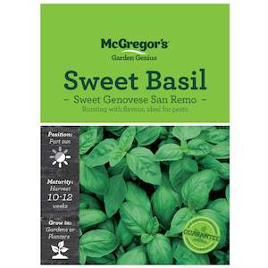 Seeds: McGregor's Basil Sweet Genovese San Remo Pesto Seed
