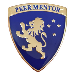 High School Badges For Sale: Sch 01