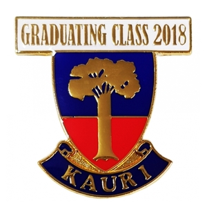 High School Badges For Sale: Sch 06