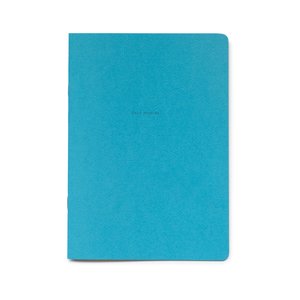 Field Studies 12 - Robyn Daly - Bad News Books