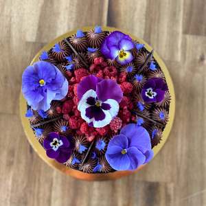 Frontpage: Dark Chocolate & Raspberry (vegan or GF available)