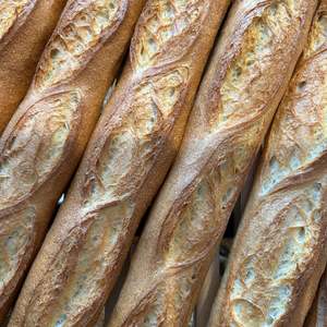 Frontpage: Baguette