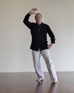Qigong and Taichi Workshop - Monshah Healing