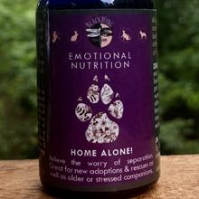 Home Alone emotional nutrition spray - The Balanced Dog