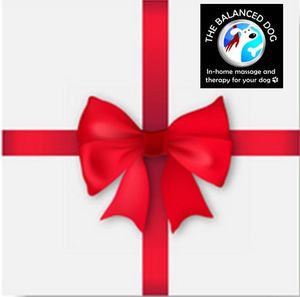 Products: Lucky Dip - The Balanced Dog