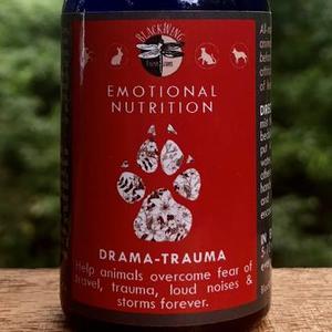 Drama Trauma emotional nutrition spray - The Balanced Dog